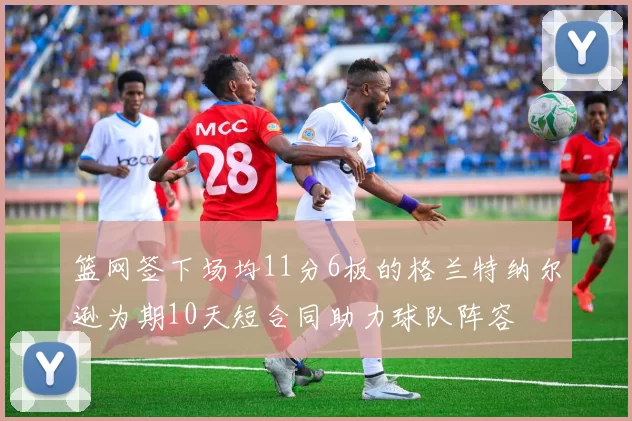 篮网签下场均11分6板的格兰特纳尔逊为期10天短合同助力球队阵容