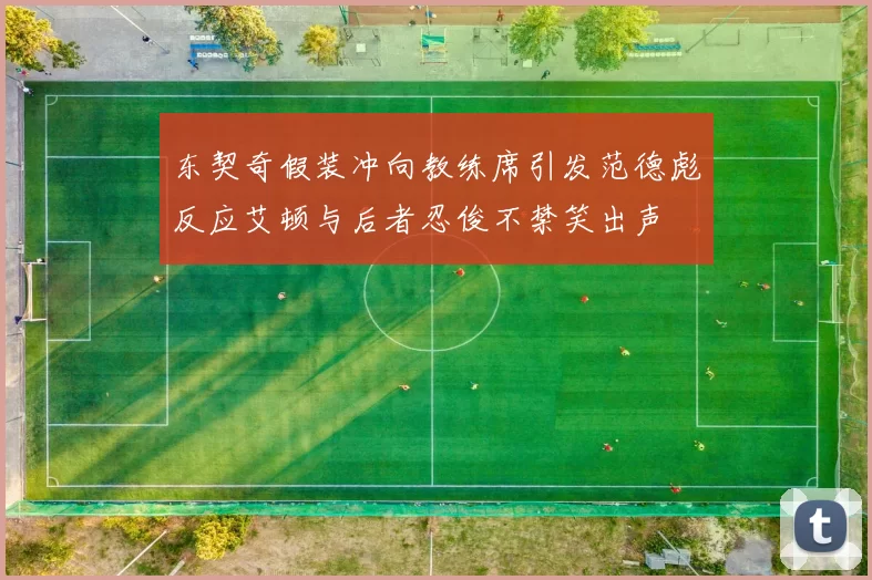 东契奇假装冲向教练席引发范德彪反应艾顿与后者忍俊不禁笑出声